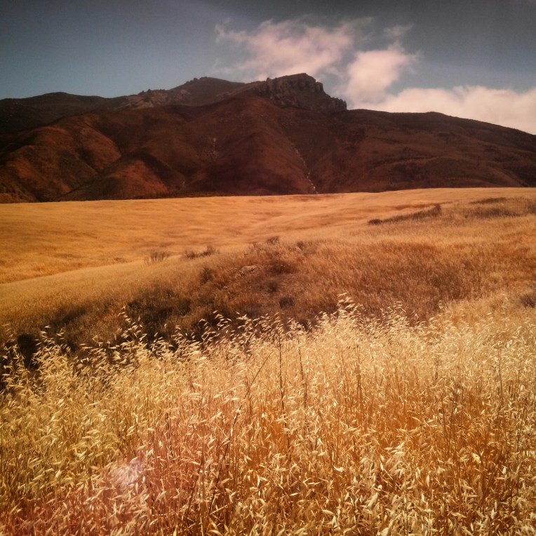 IMG_20150504_150303.jpg image