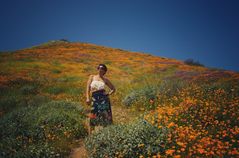 Walker canyon Lake Elsinore LaVonne Grady photography super bloom
