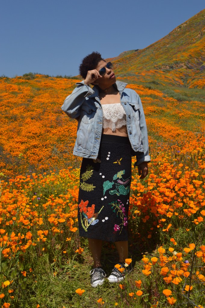 Poppy fields in walker canyon Lake Elsinore LaVonne Grady photography