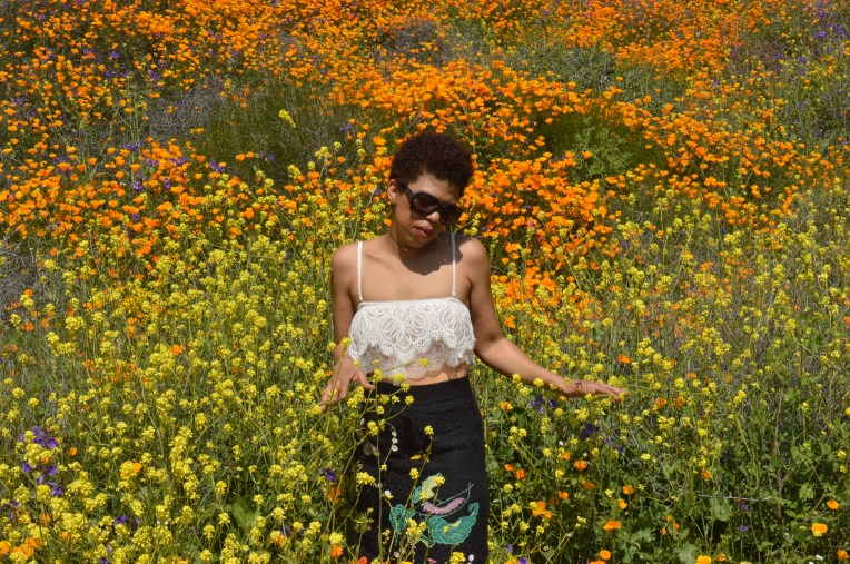 Girl standing in the middle of wild flowers walker canyon Lake Elsinore LaVonne Grady photography
