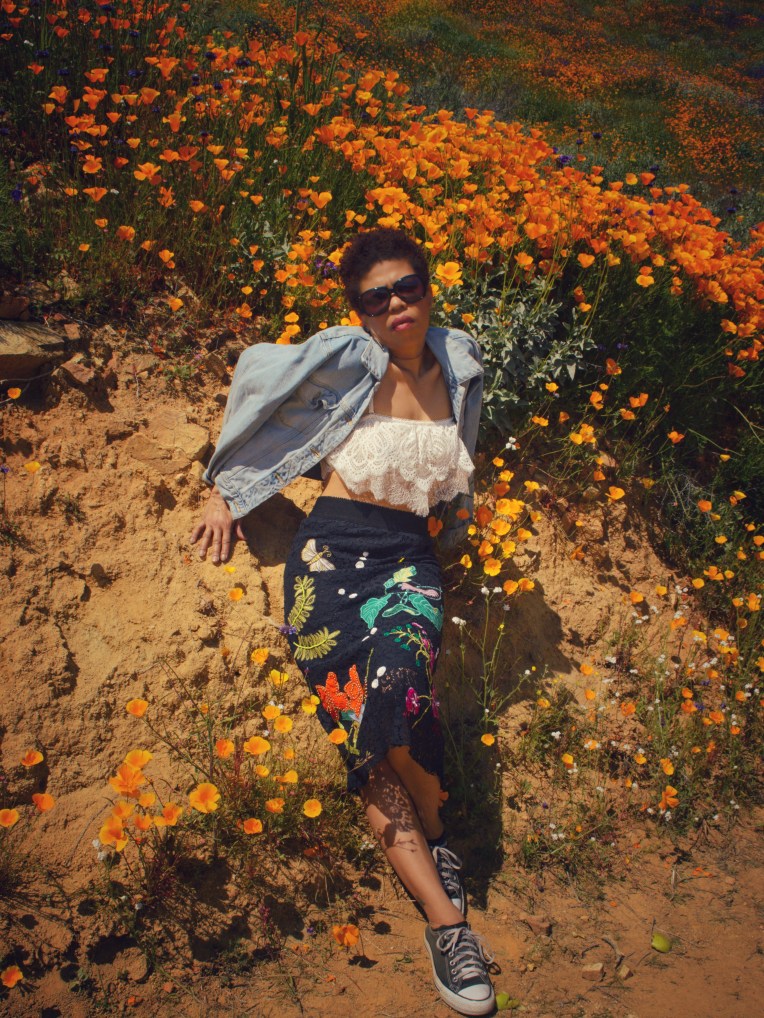 Walker canyon lake elsinore super bloom LaVonne Grady photography