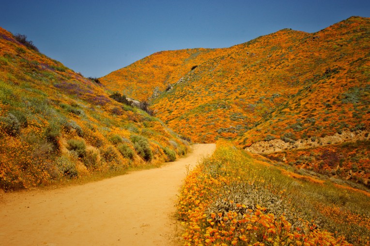 Lavonne Grady photography walker canyon Lake Elsinore